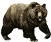 Bearfront