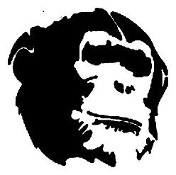 Chimp