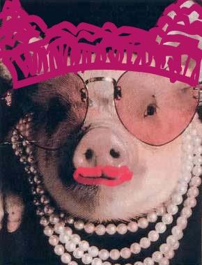 Pussyhatpig