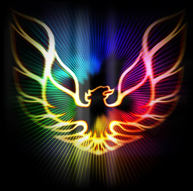 Rainbow phoenix   wide
