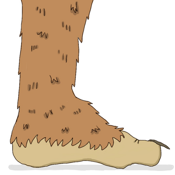 Mr. Foot